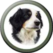 Button Linking to the Dog Portraits Page